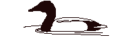 Acua0006.gif