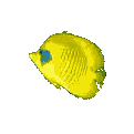 Acua0014.gif