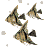Acua0026.gif