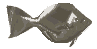 Acua0032.gif