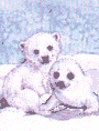 Acua0034.gif