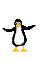 Acua0042.gif
