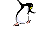 Acua0043.gif