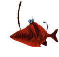 Acua0044.gif