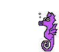 Acua0046.gif