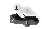 Acua0049.gif