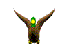 Acua0059.gif