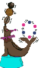 Acua0063.gif