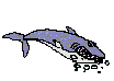 Acua0075.gif