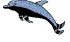 Acua0077.gif