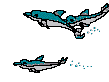 Acua0078.gif