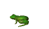 Acua0079.gif