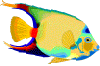 Acua0080.gif