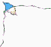 Acua0083.gif