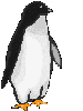 Acua0090.gif