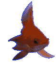 Acua0094.gif