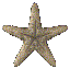 Acua0101.gif