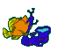 Acua0116.gif