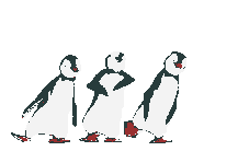Acua0119.gif