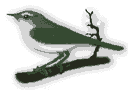 Ave0008.gif