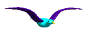 Ave0019.gif