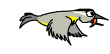 Ave0020.gif