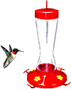 Ave0022.gif