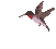 Ave0027.gif