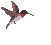Ave0028.gif