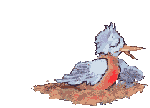 Ave0029.gif