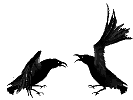 Ave0032.gif