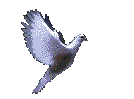Ave0033.gif