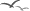 Ave0037.gif