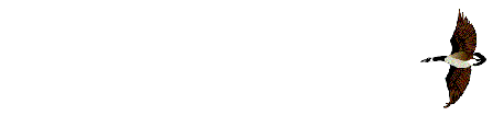 Ave0040.gif