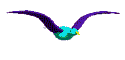 Ave0056.gif