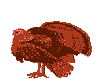 Ave0064.gif