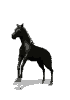 Caba0023.gif