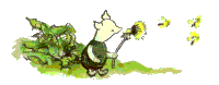 Cerd0007.gif