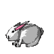 Cone0004.gif
