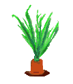 Cone0005.gif