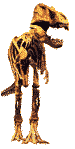 Dino0009.gif