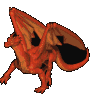 Drag0040.gif