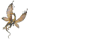 Drag0046.gif
