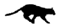 Feli0001.gif