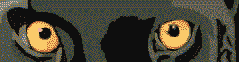 Feli0008.gif