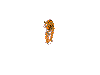 Feli0010.gif