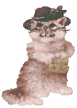 Gato0002.gif