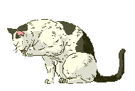 Gato0021.gif