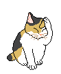 Gato0029.gif