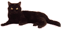 Gato0032.gif